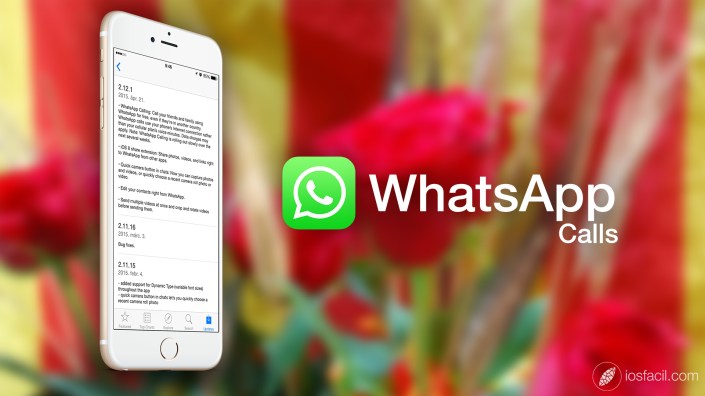 WhatsApp-Calls_update