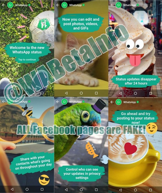 whatsapp-status_